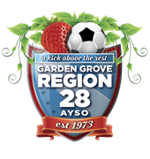 Region 28